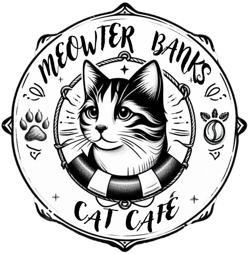 Meowter Banks Cat Café